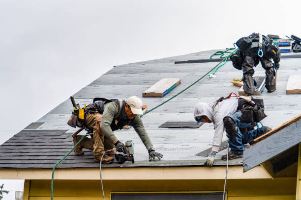 Professional Roof Replacement technician working in Mc David, FL